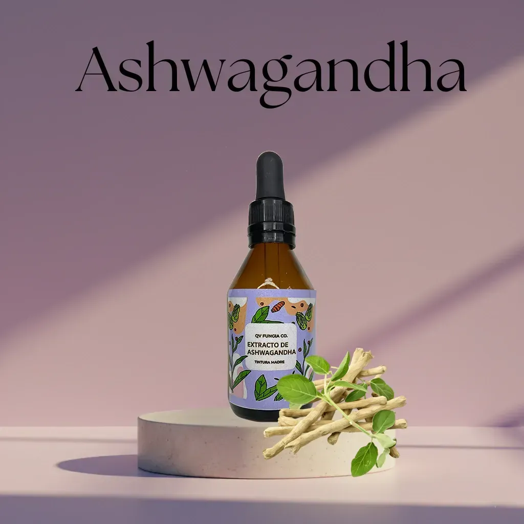 Botella de extracto de Ashwagandha con raíces sobre un pedestal, sobre un fondo rosa.