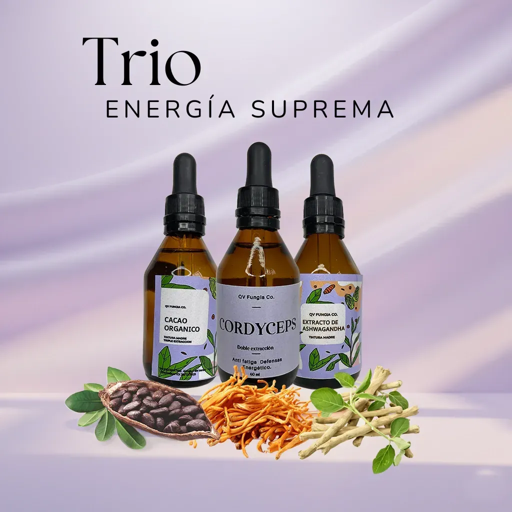 Tres frascos goteros color ámbar con ingredientes, etiquetados 