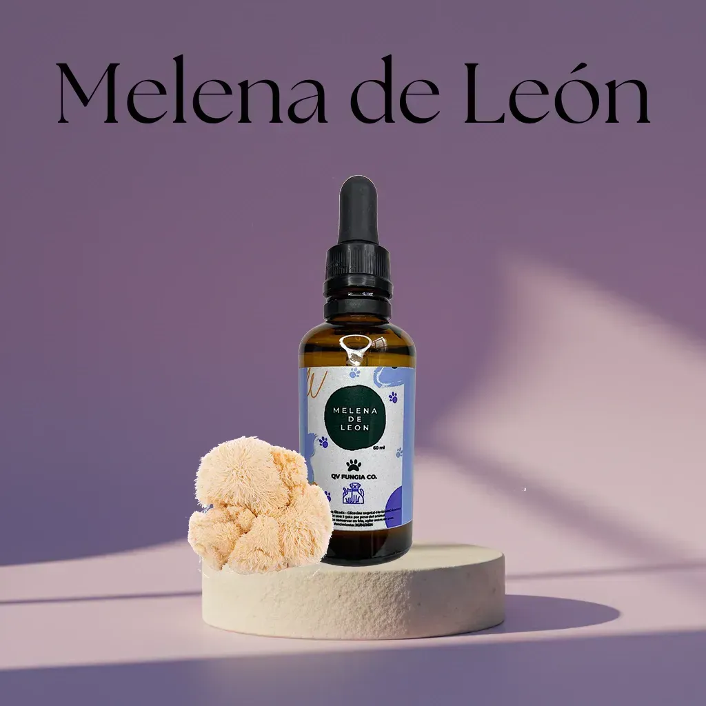 Botella de tintura “Melena de León” con seta sobre pedestal, sobre fondo lila.