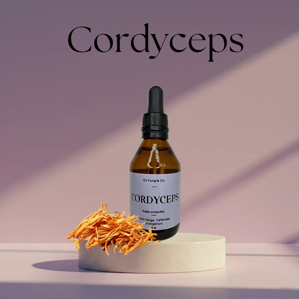 Botella de Cordyceps líquido, gotero y hongos secos sobre un pedestal. Texto superpuesto: 