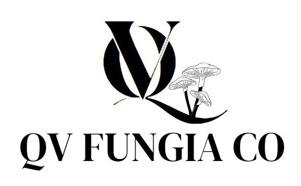 Logotipo de QV Fungia Co: 