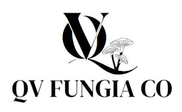 Logotipo de QV Fungia Co: