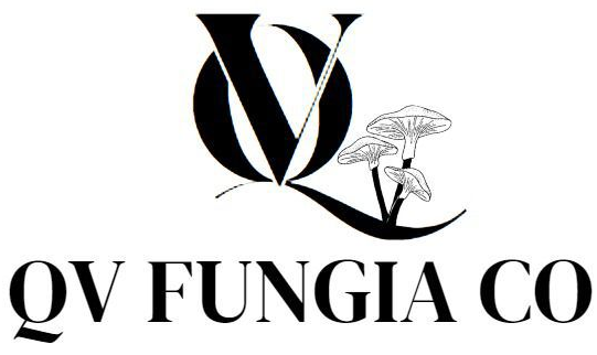 Logotipo de QV Fungia Co: 