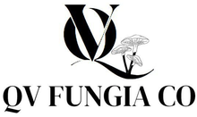 Logotipo de QV Fungia Co:
