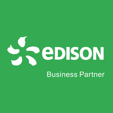 edison business partner