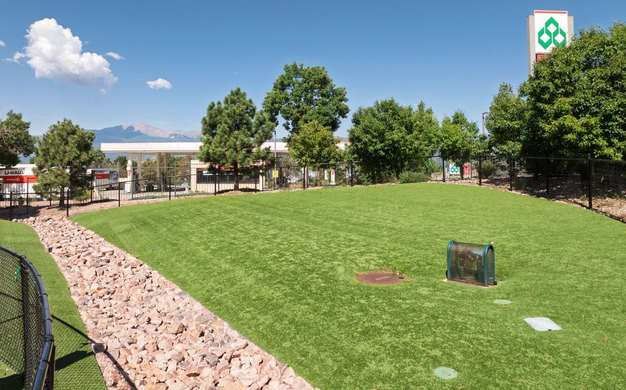 Fenced outdoor communal lawn with artificial turf, rocks, and trees.