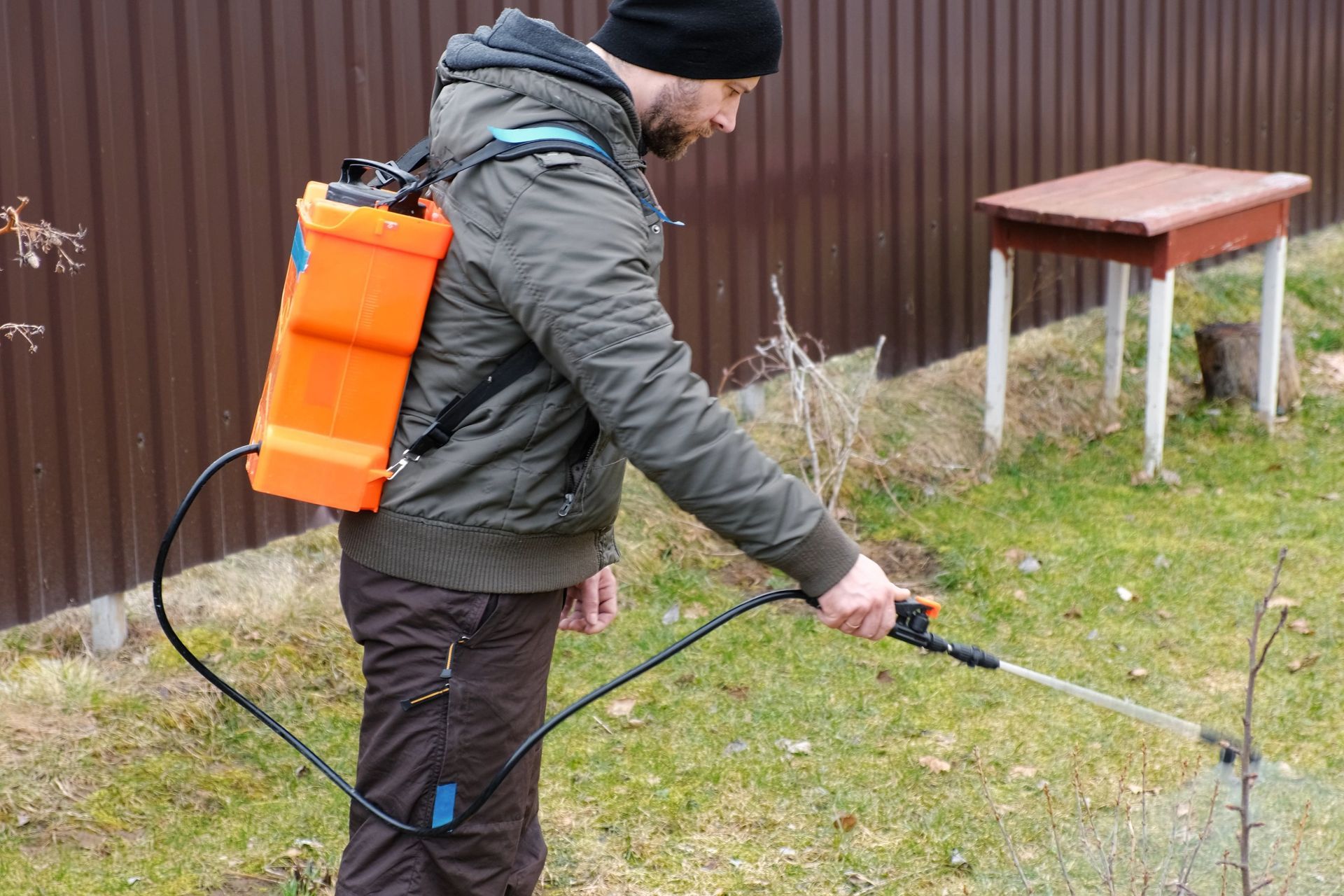 Man spraying a lawn with an orange backpack sprayer near a brown fence and a table. Man spraying a lawn with an orange backpack sprayer near a brown fence and a table.
