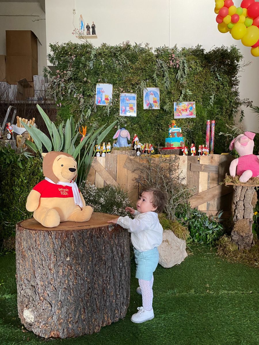 festa di un bambino a tema Winnie the Pooh