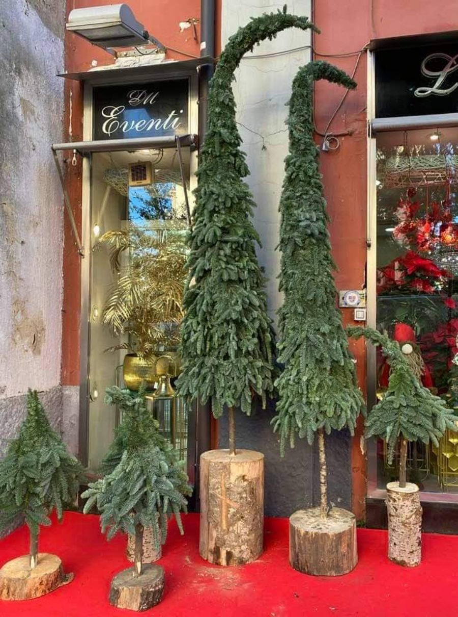 pini decorativi piccoli e grandi fuori da un negozio