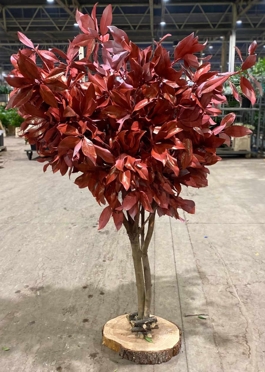 alberello natalizio decorativo con foglie rosse