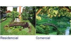 SERVICIOS DE JARDINERÍA