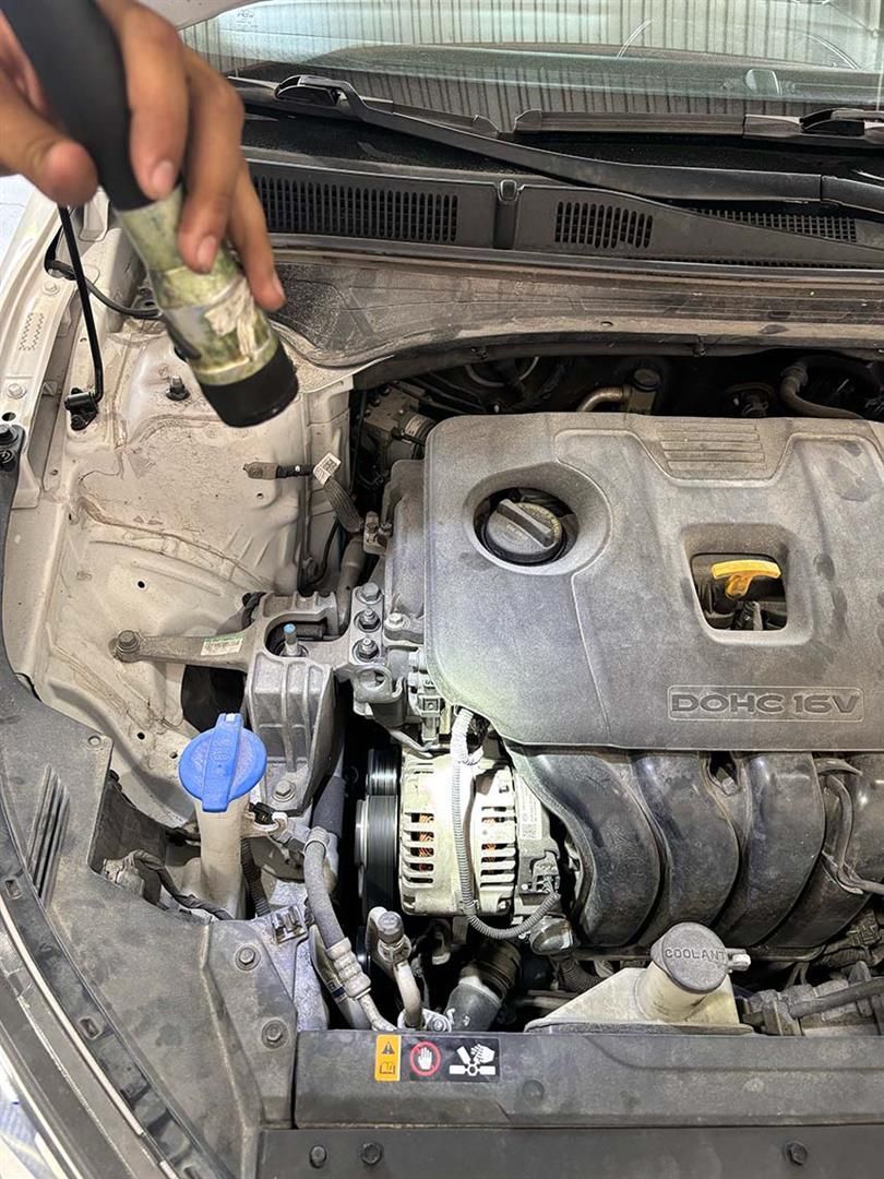 A person is cleaning the engine of a car with a spray bottle. | Elite Auto Experts