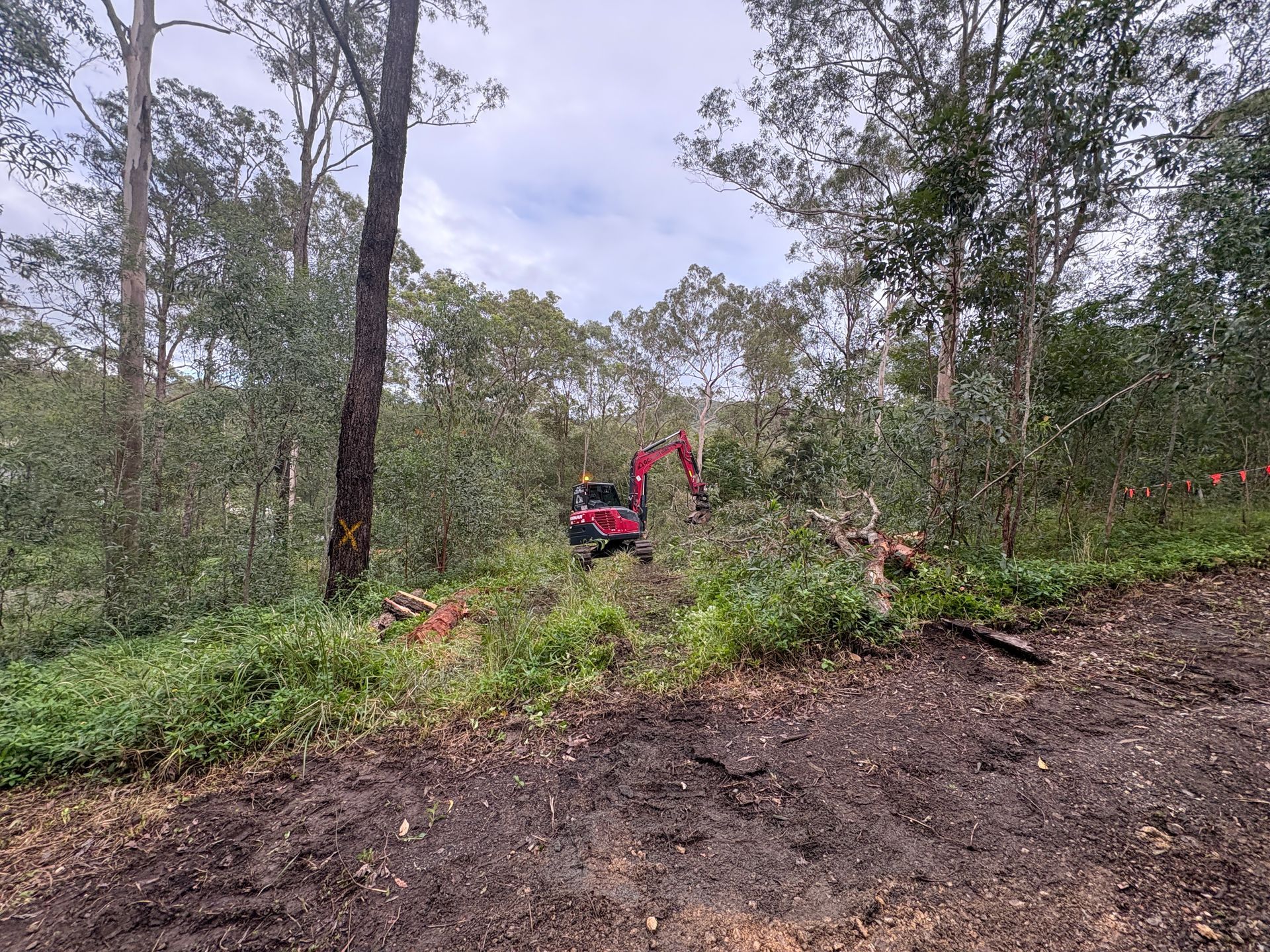 A man is standing in the middle of a forest with a red excavator.