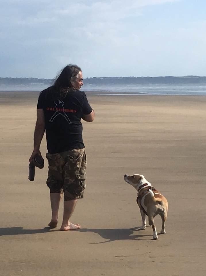 DOG FRIENDLY BEACHES IN CORNWALL