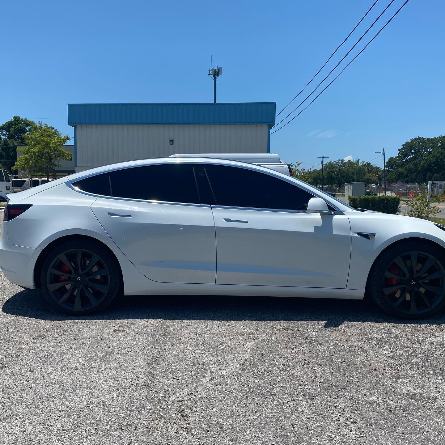 best auto window tint installers Tampa FL