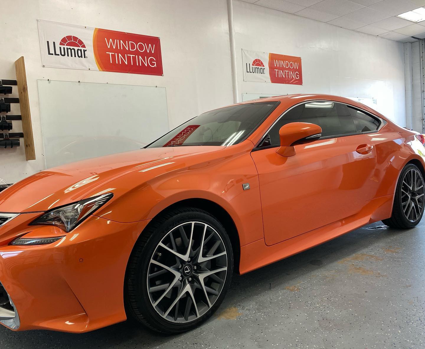 car tinting tampa bay