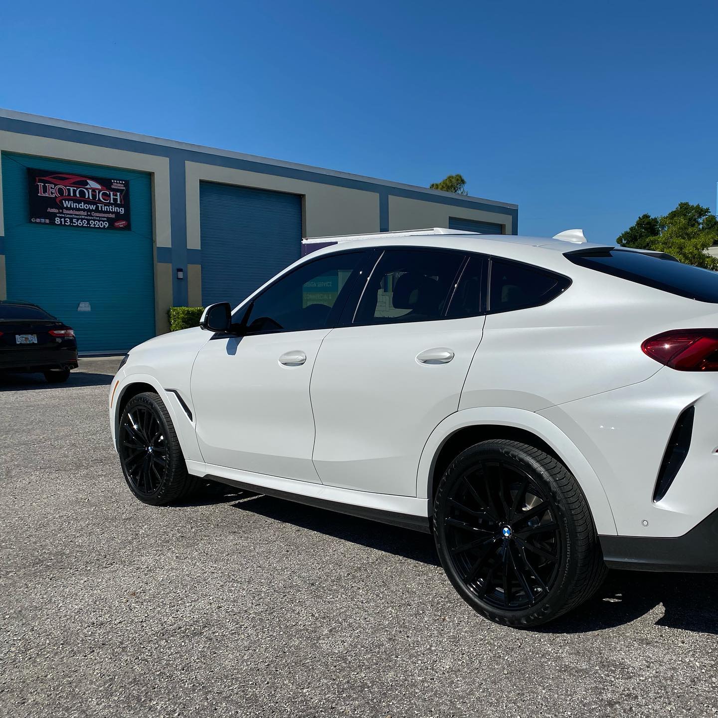 best auto window tint installers tampa