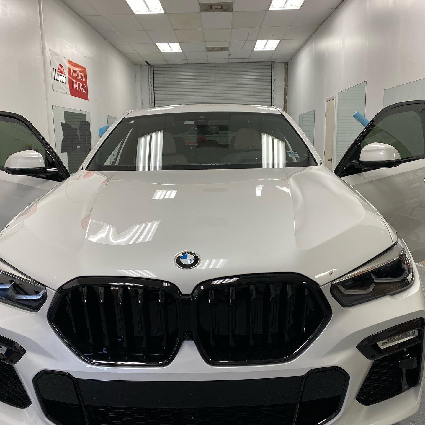 auto window tint installers tampa