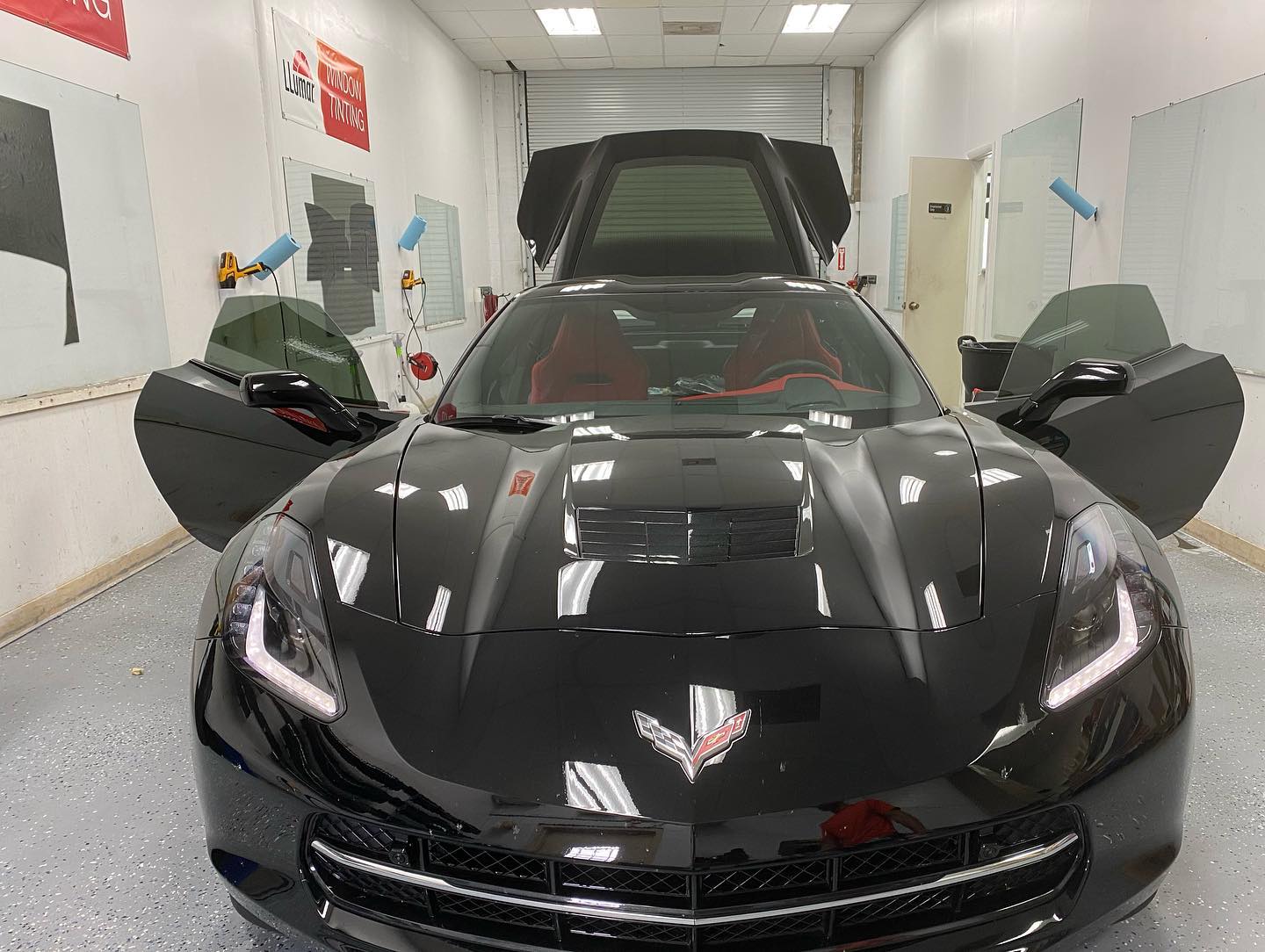 window tint installers Tampa FL