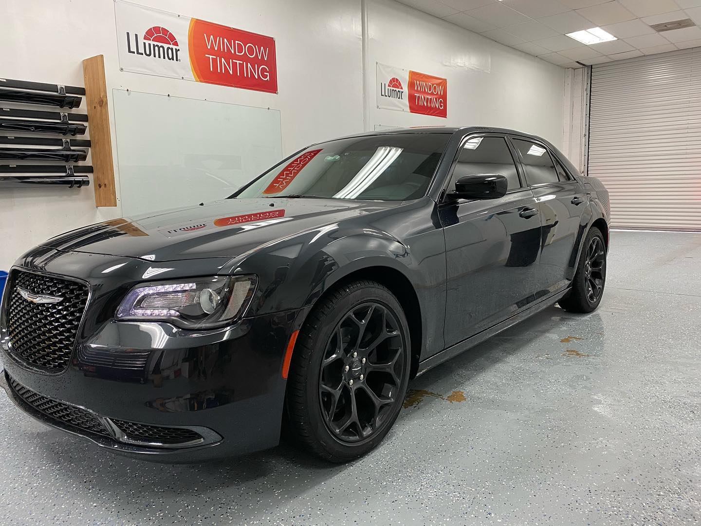 car window tint installers tampa