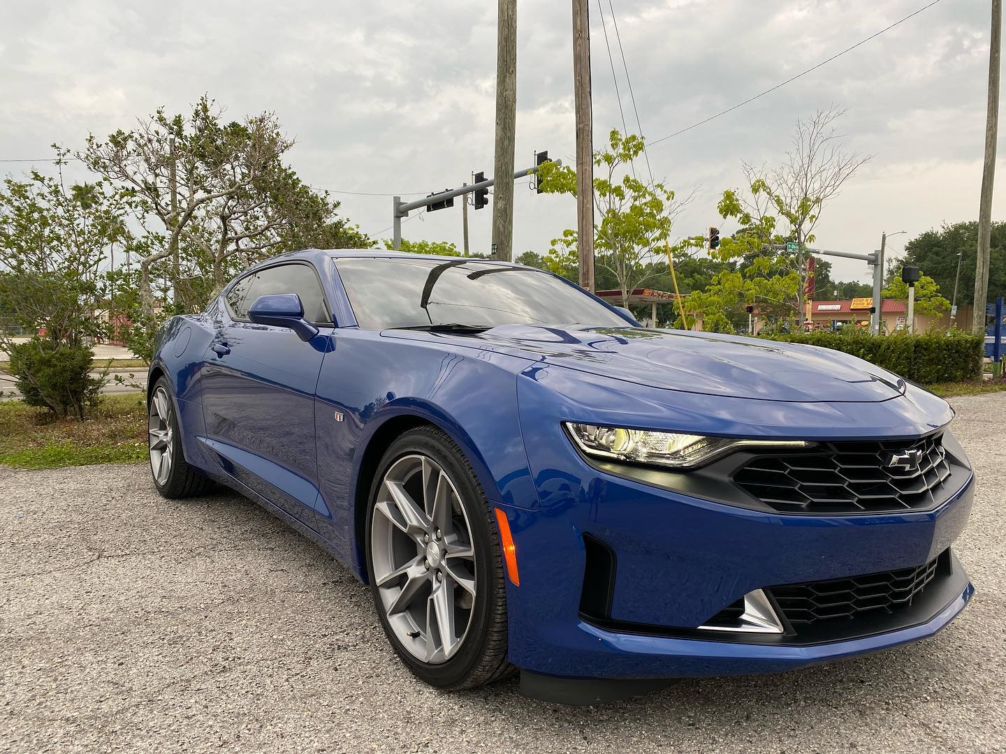 car window tint installers Tampa FL