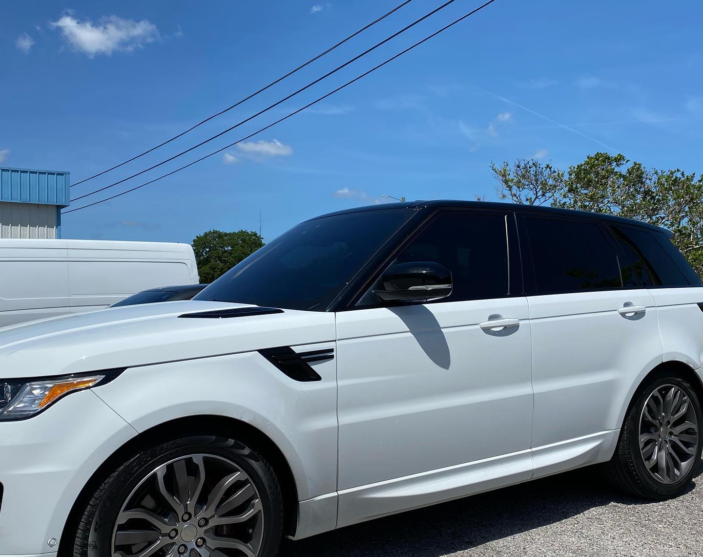 best window tint tampa