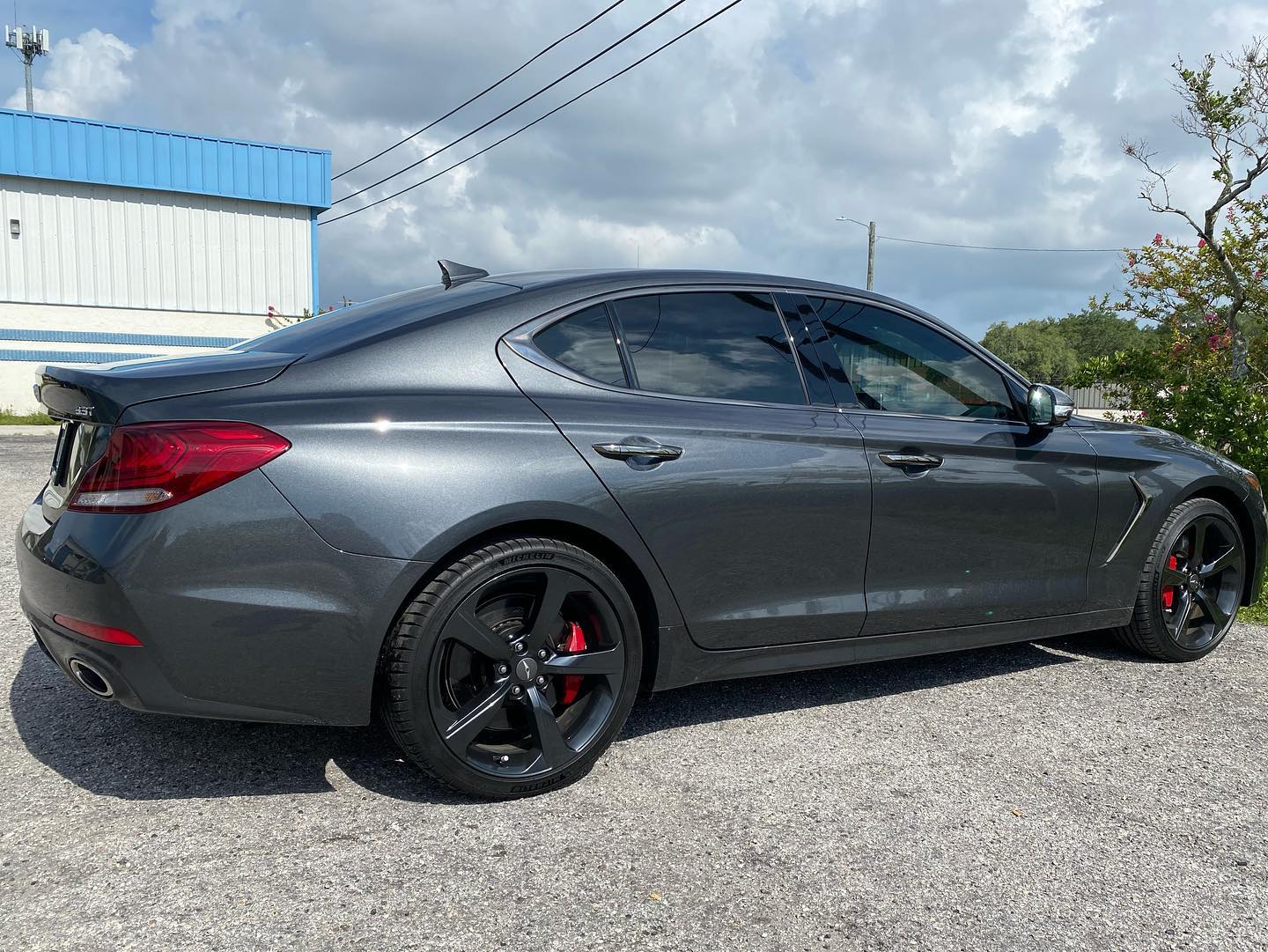 best window tint tampa bay