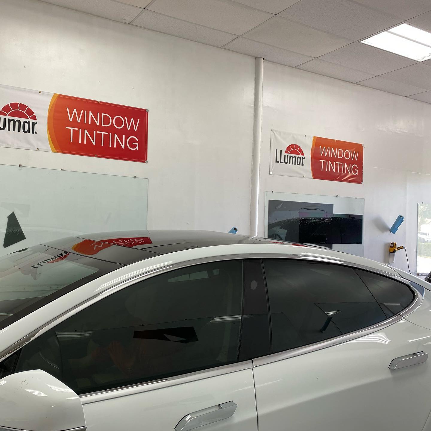 best window tinting Tampa FL