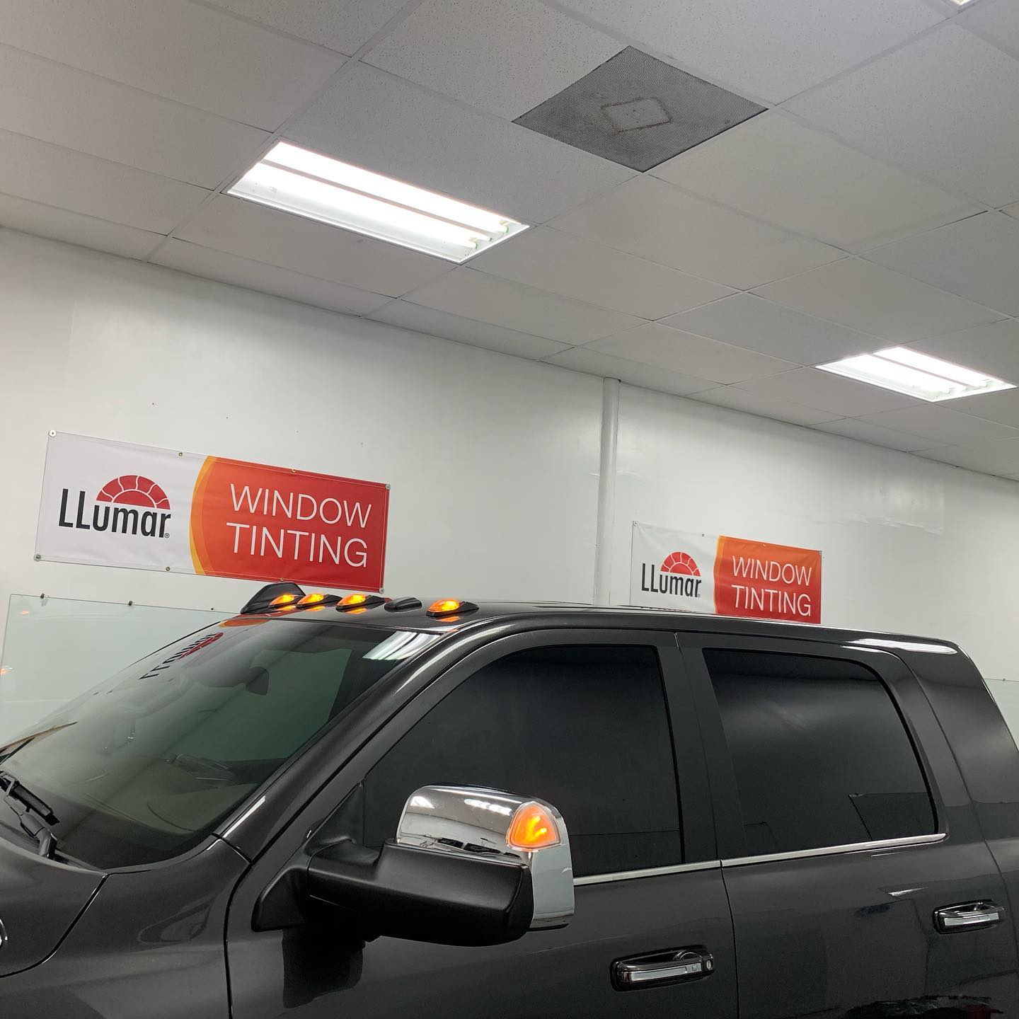 auto window tint Tampa FL