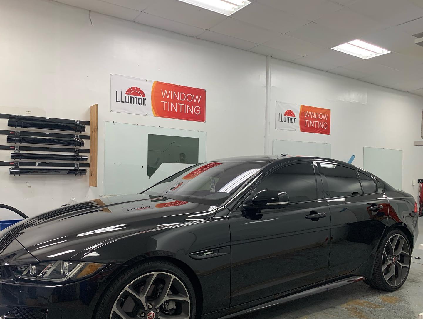 window tint Tampa FL