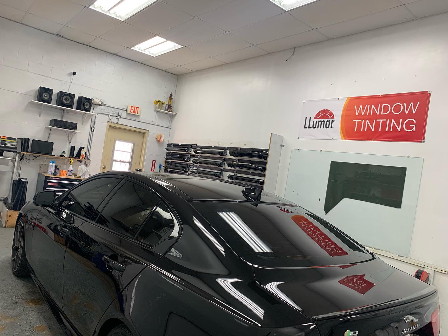 window tint tampa