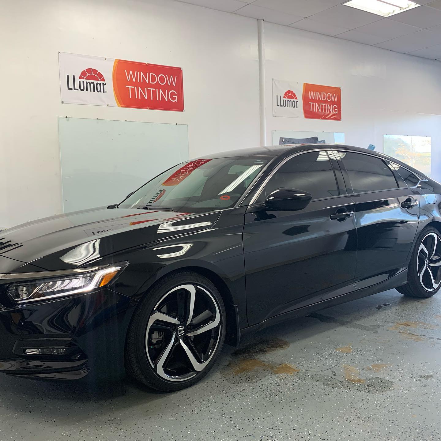 auto window tinting Tampa FL