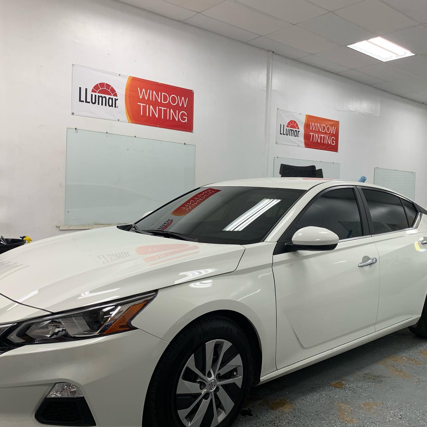 window tinting tampa