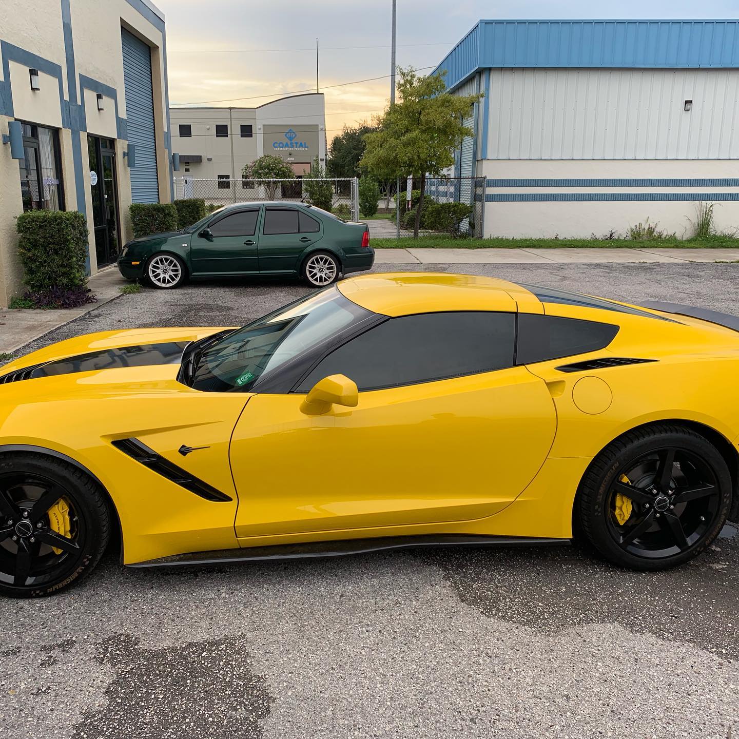 window film installers tampa bay