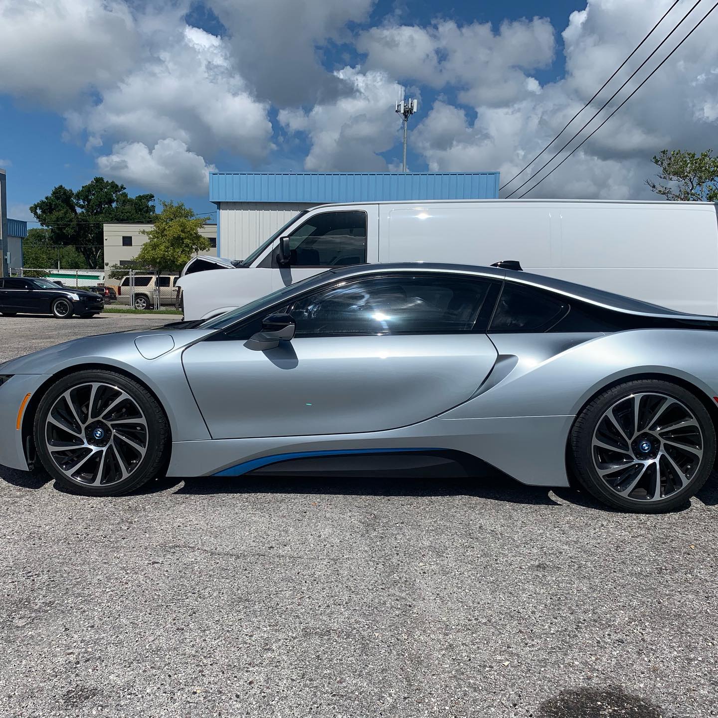 window film installers tampa