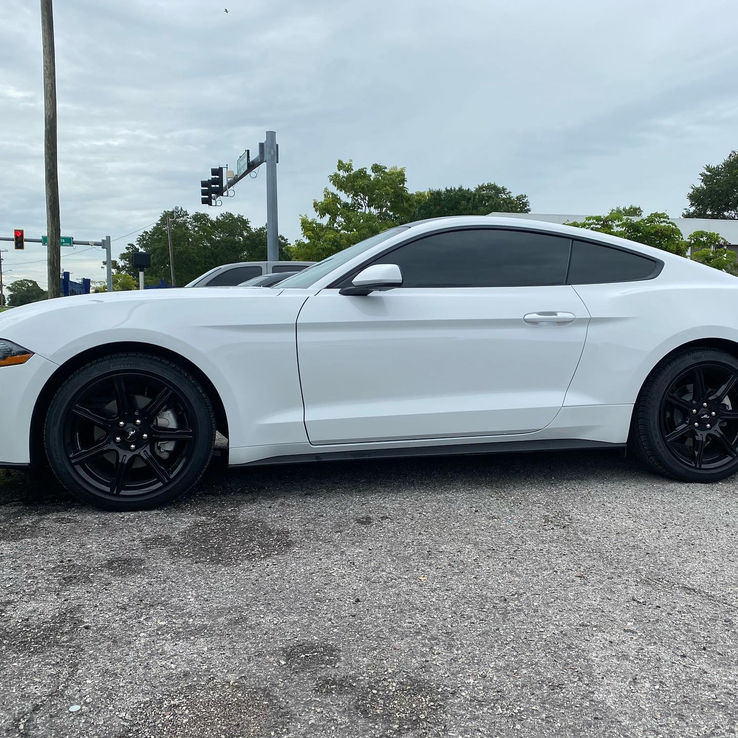 best window tint installers