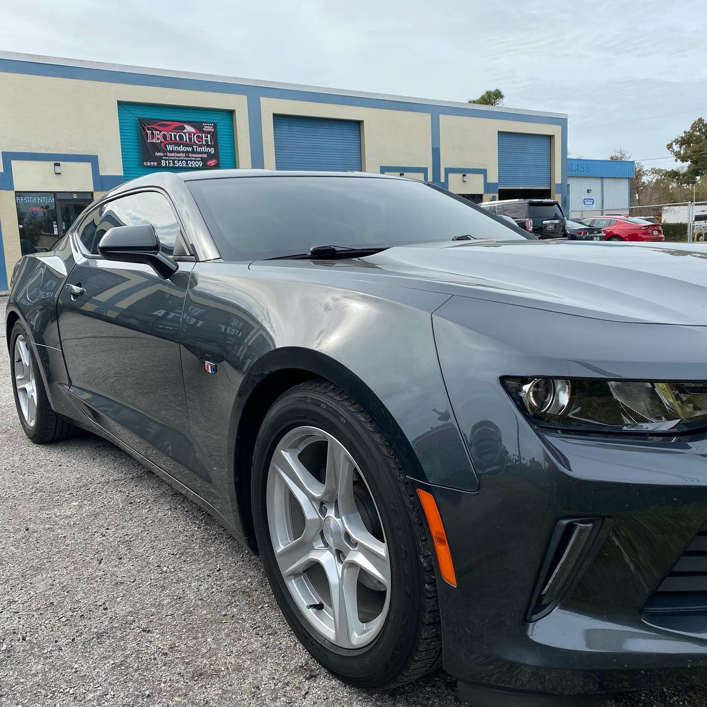 auto window tinting Tampa Bay