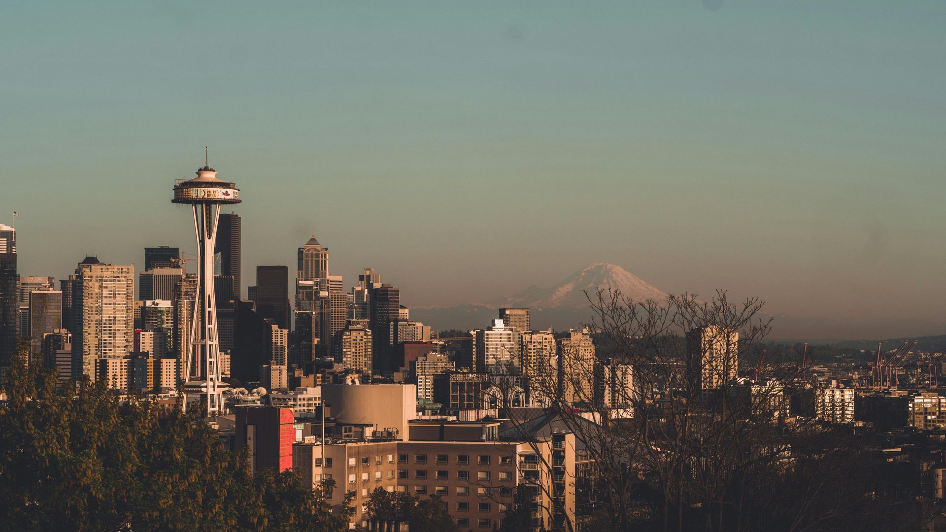 A city skyline with a mountain in the background.