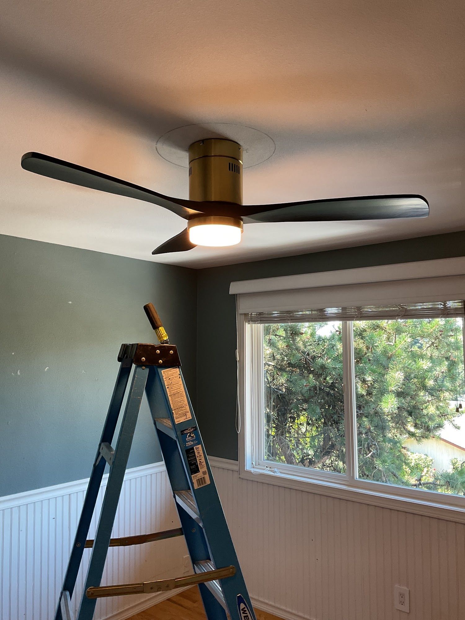 Ceiling fan with light installed, step ladder in foreground, next to a window in a room with green walls.