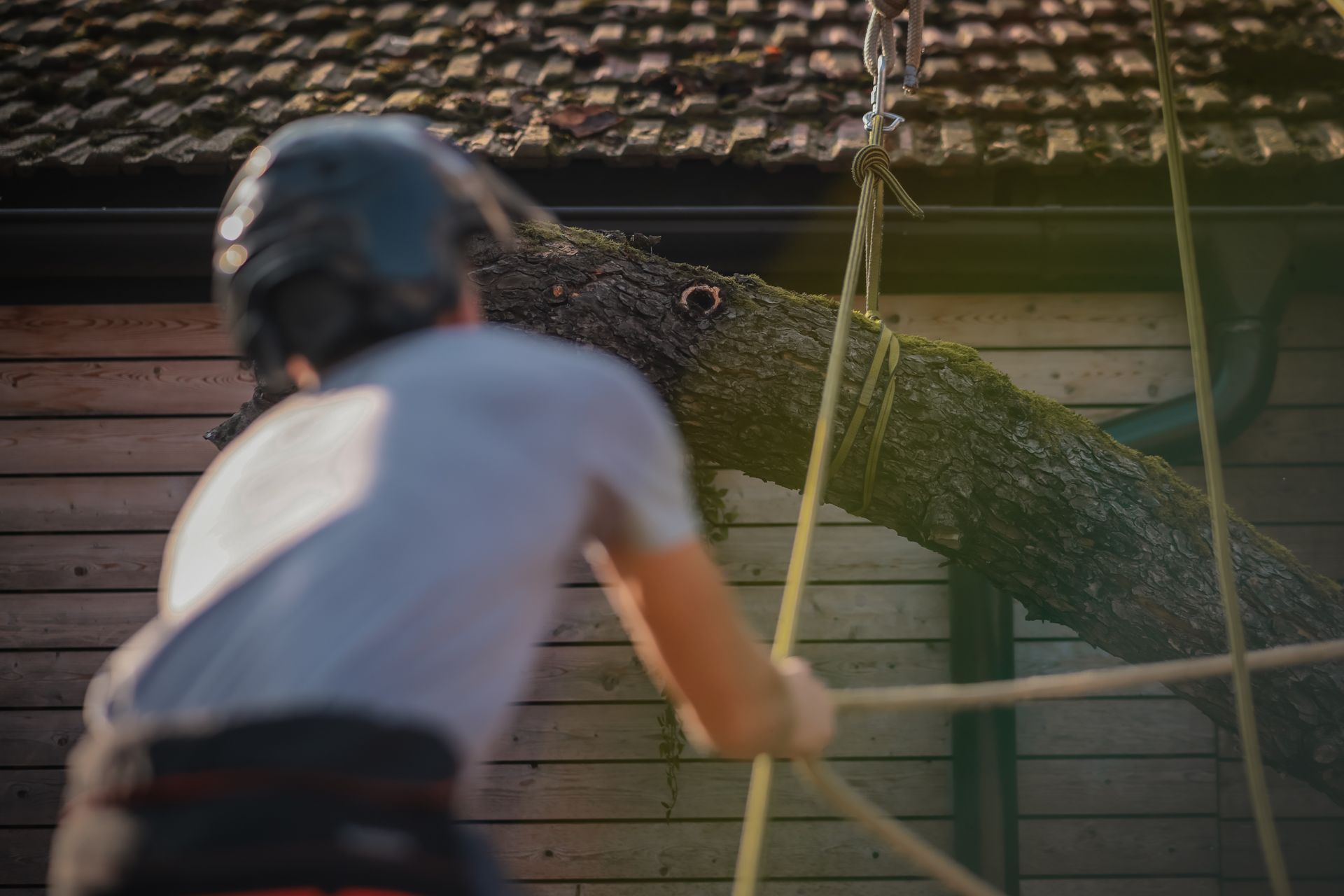 Person pulling rope attached to large log near building Person pulling rope attached to large log near building