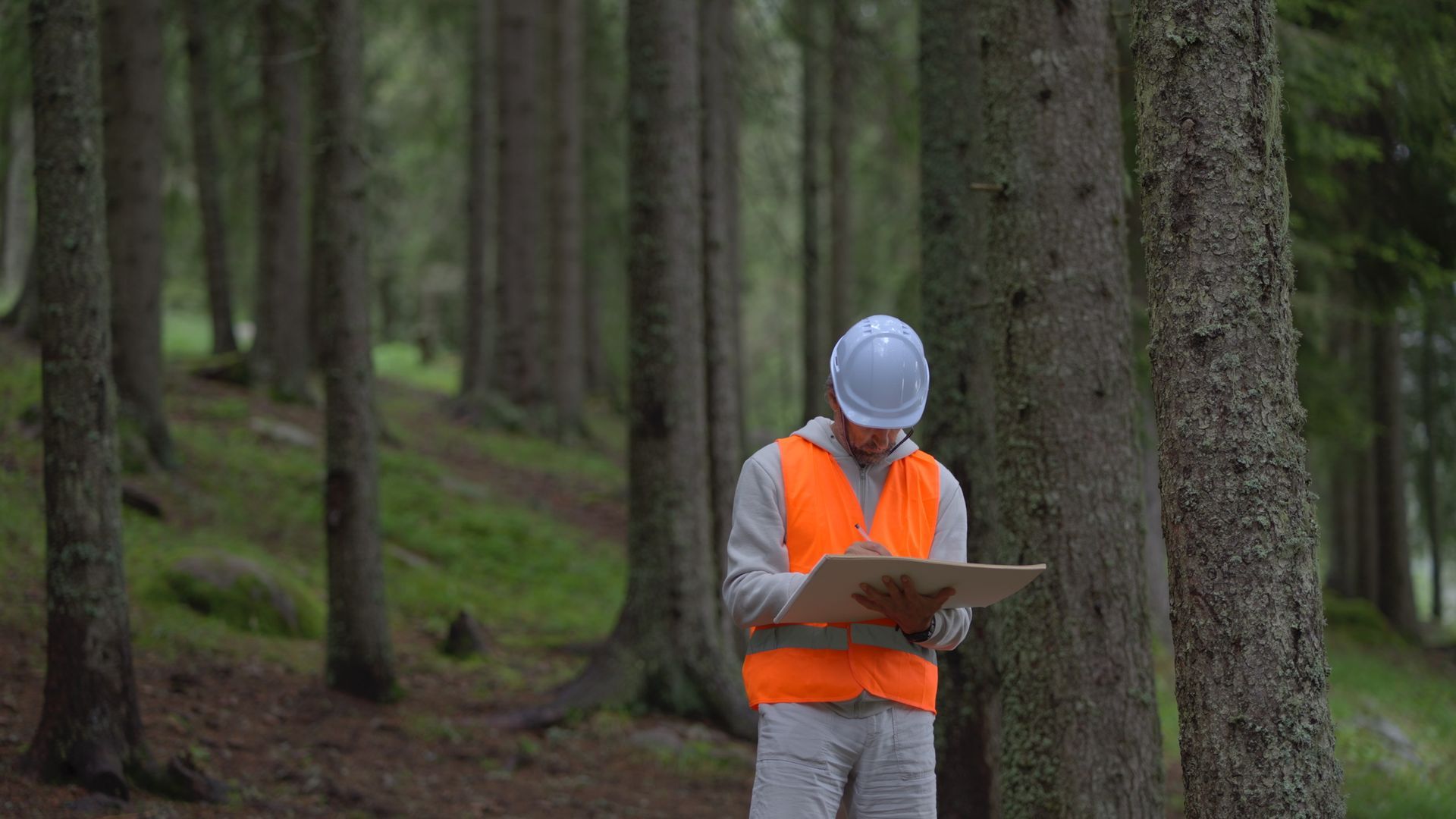 Man in orange vest and hard hat, taking notes in a forest, trees in the background