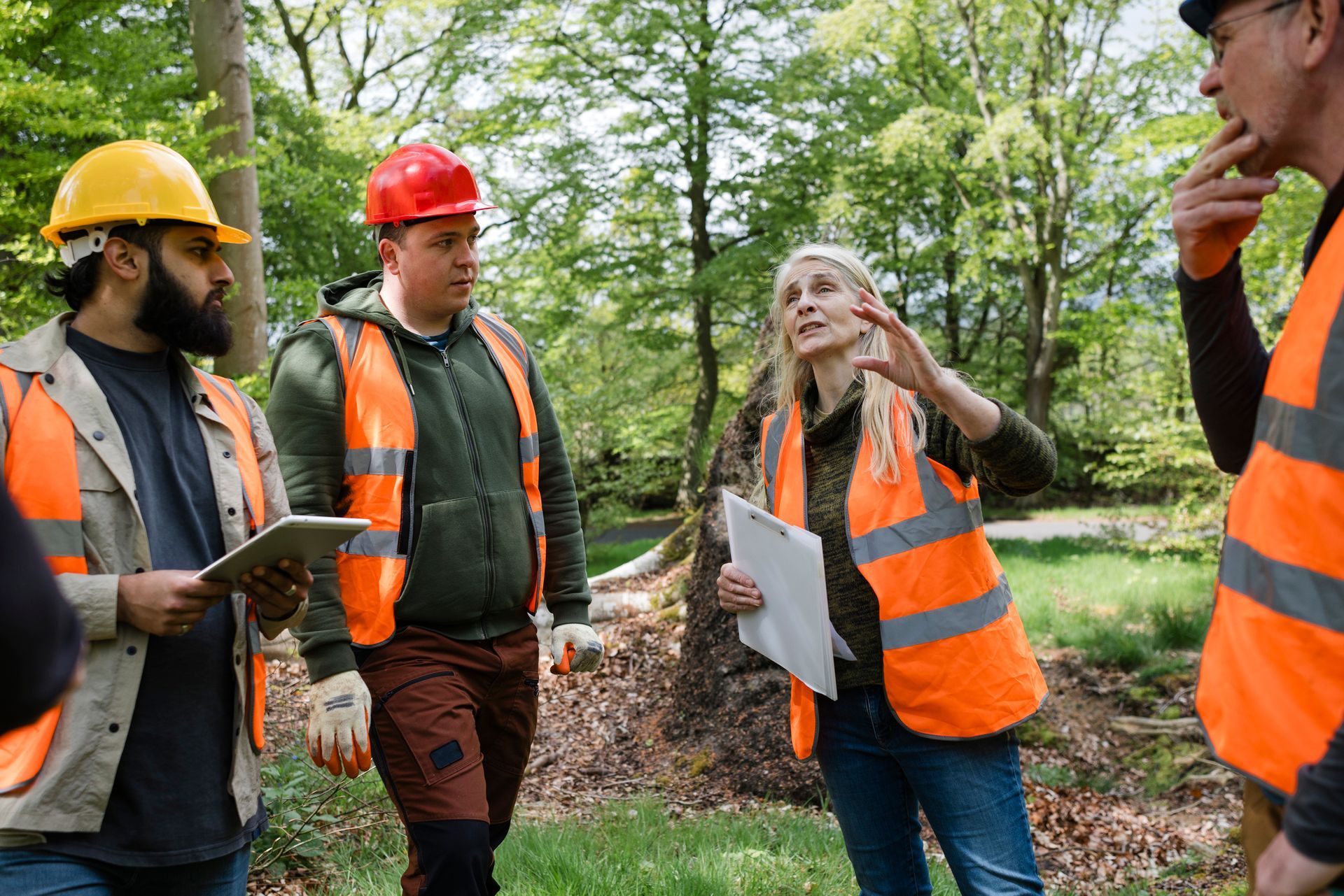 Group of people in forest wearing hard hats and safety vests; one points and talks while holding papers