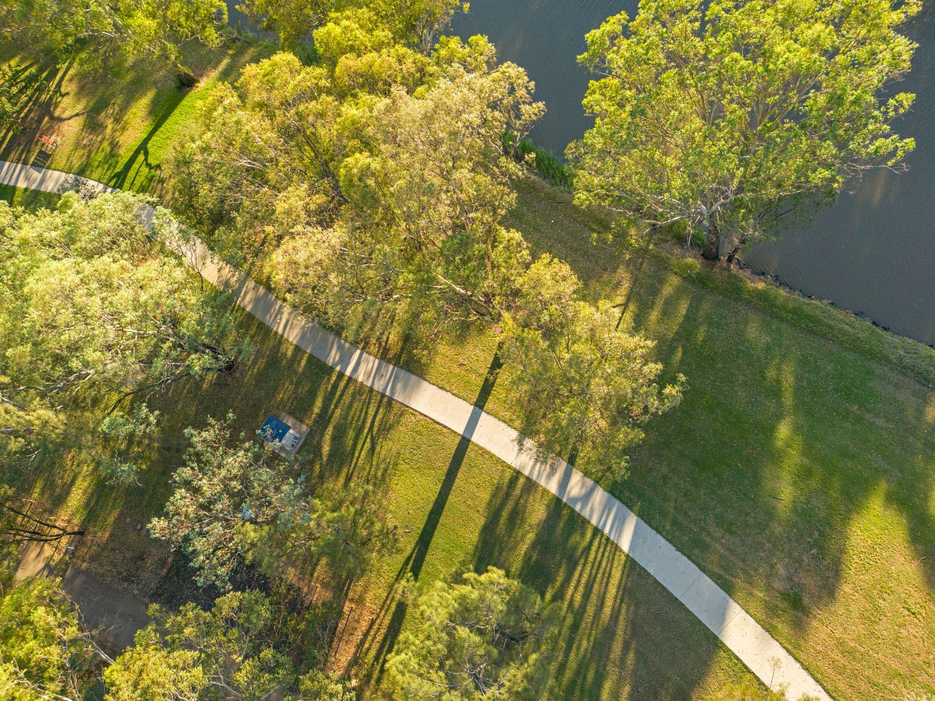 Overhead view of a concrete path winding through a park with trees and a dark body of water