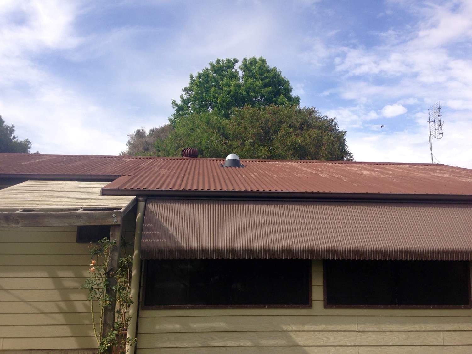 A House With A Red Roof And A Tree In The Background — In-Time Roofing In Newcastle, NSW