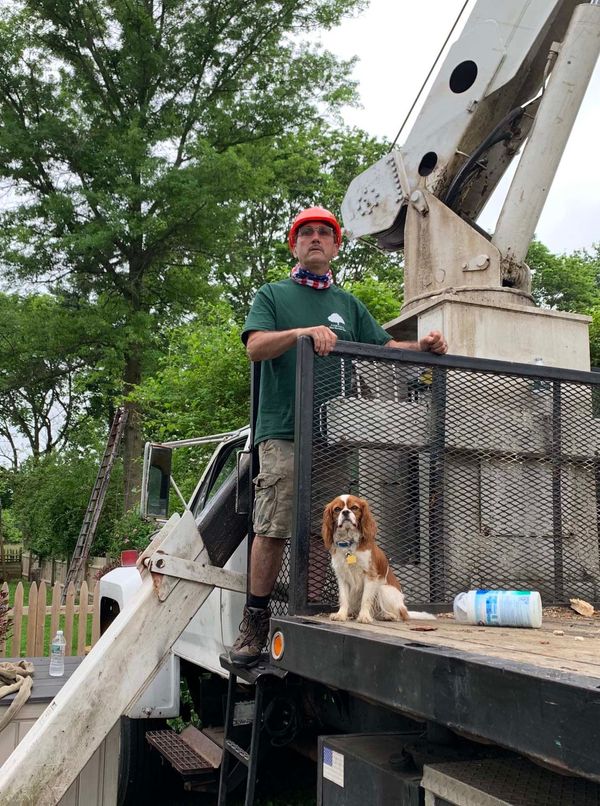 A man and a dog are standing on the back of a truck.