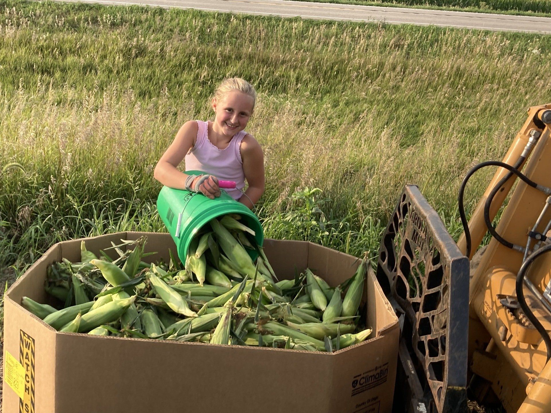 Girl Boone Corn Harvest