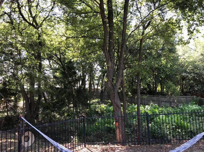 Professional Lawn Care Weatherford, TX Alaya James Lawn Care & Junk