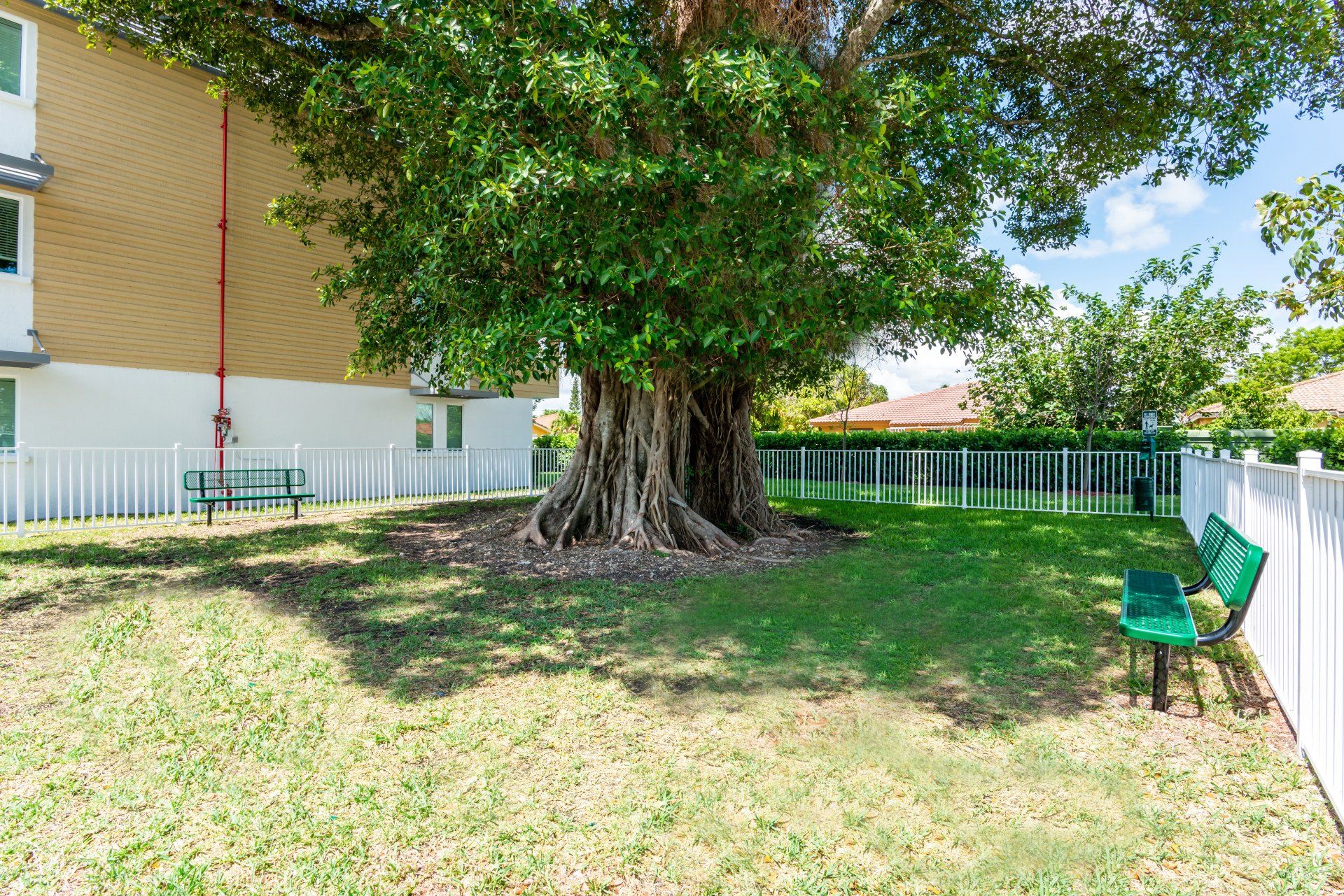 Tree outdoors at Sophia Square Apartments in Homestead, FL.