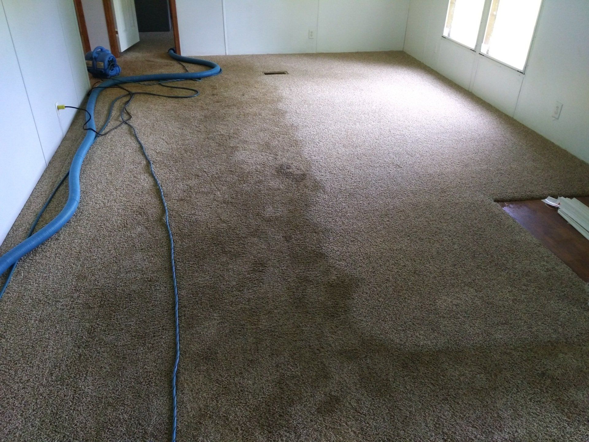 carpet cleaning service photos | Gallatin, TN | Master’s Touch Cleaning