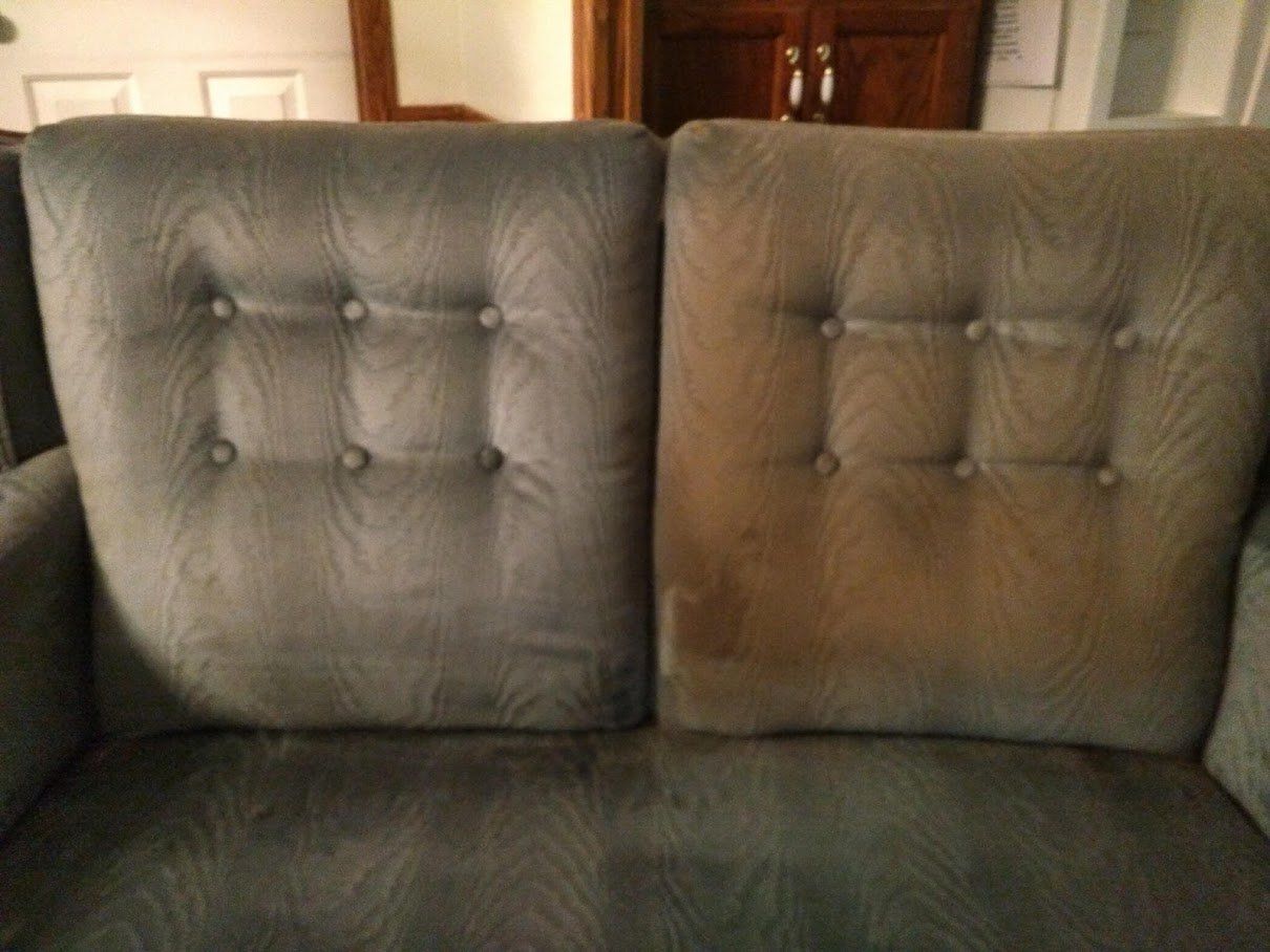 Cat Dander on Chair — Gallatin, TN — Master’s Touch Cleaning and Restoration